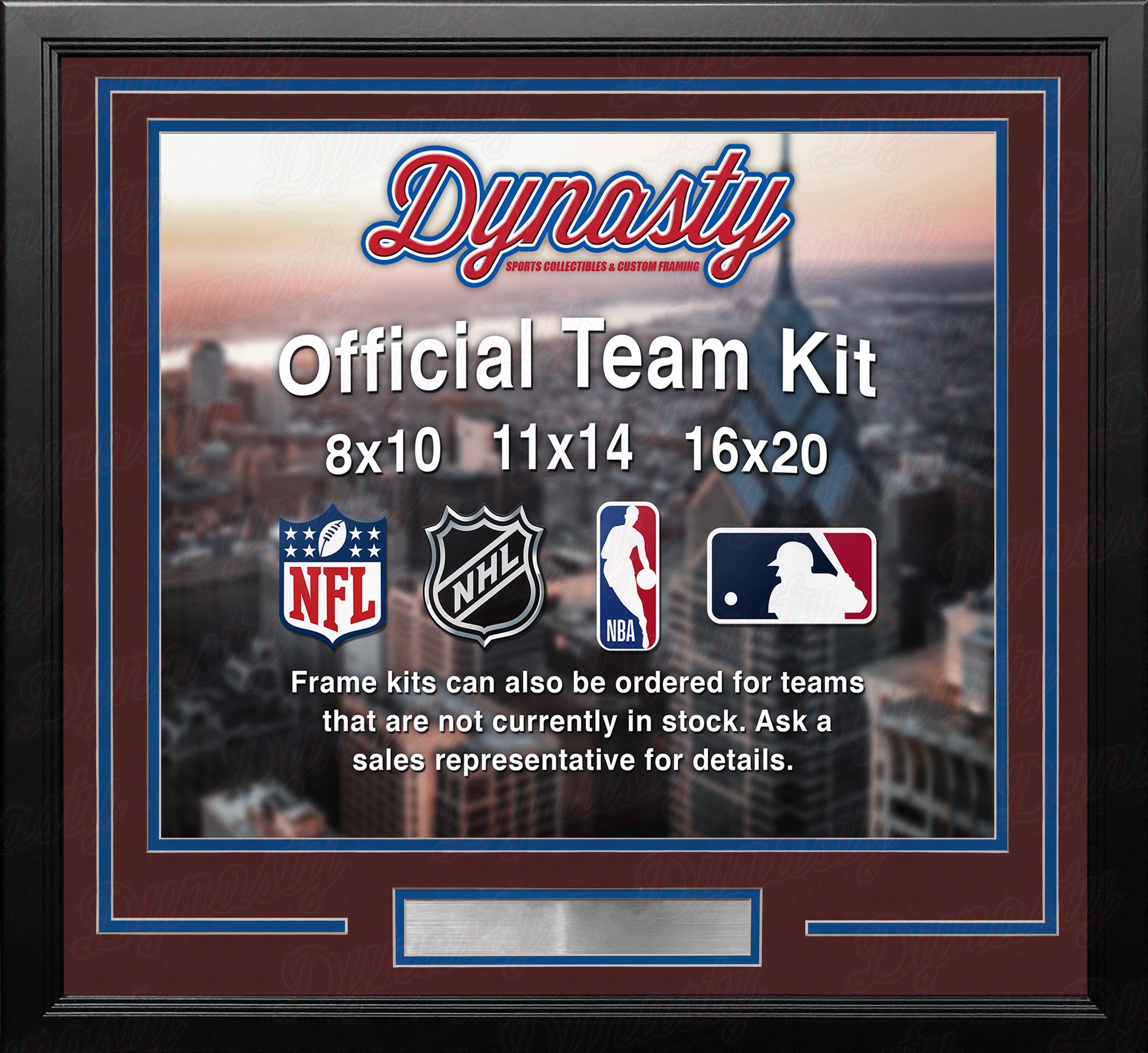 Colorado Avalanche Custom NHL Hockey 8x10 Picture Frame Kit (Multiple Colors)