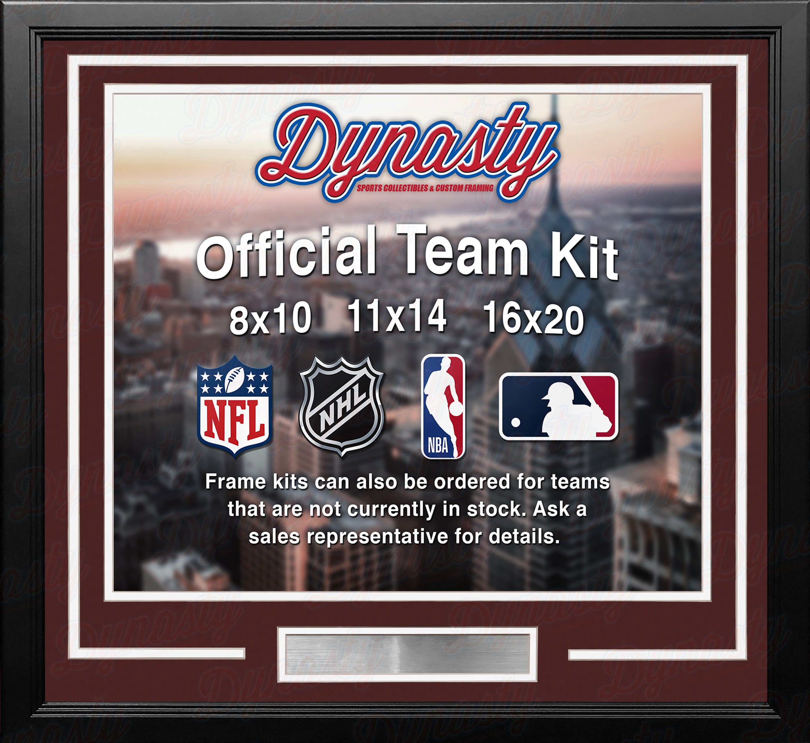 Colorado Avalanche Custom NHL Hockey 11x14 Picture Frame Kit (Multiple Colors)