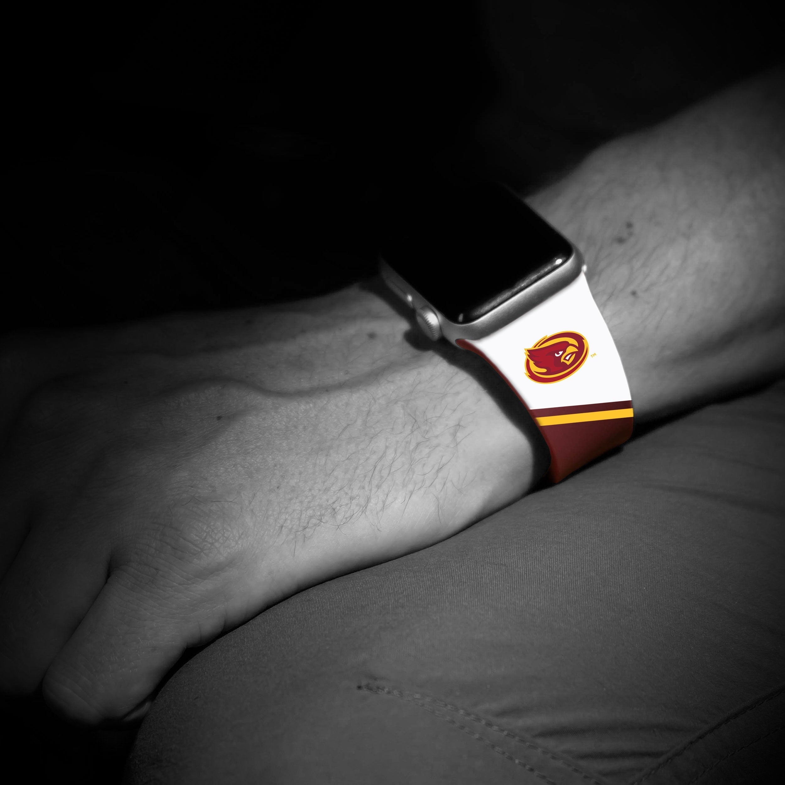 Iowa State Cyclones HD Apple Watch Band | Affinity Bands 25