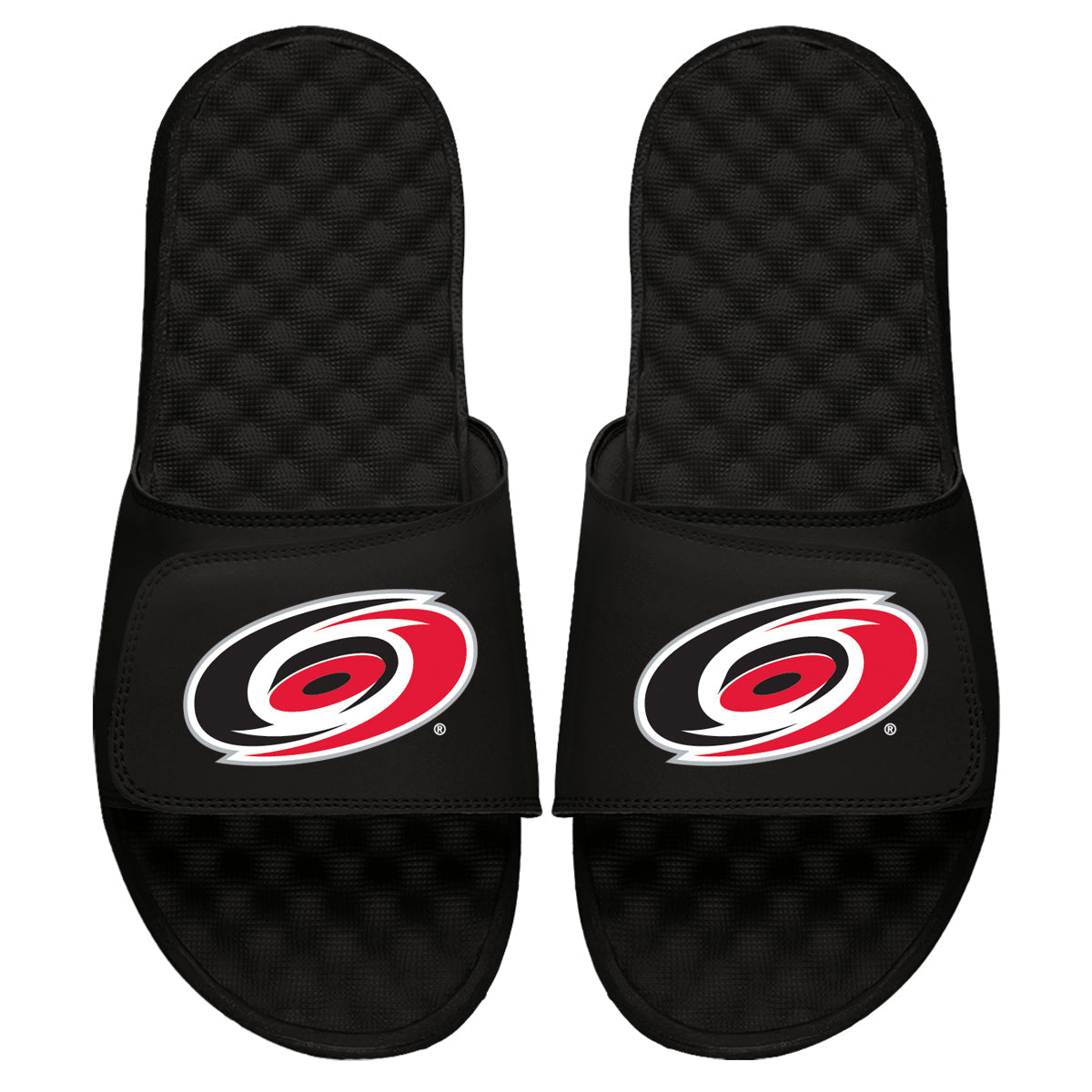 Carolina Hurricanes Primary Slides 4