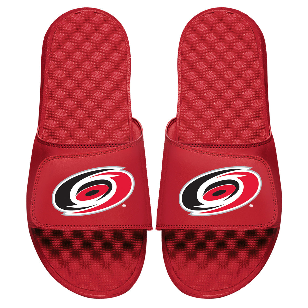 Carolina Hurricanes Primary Slides 3