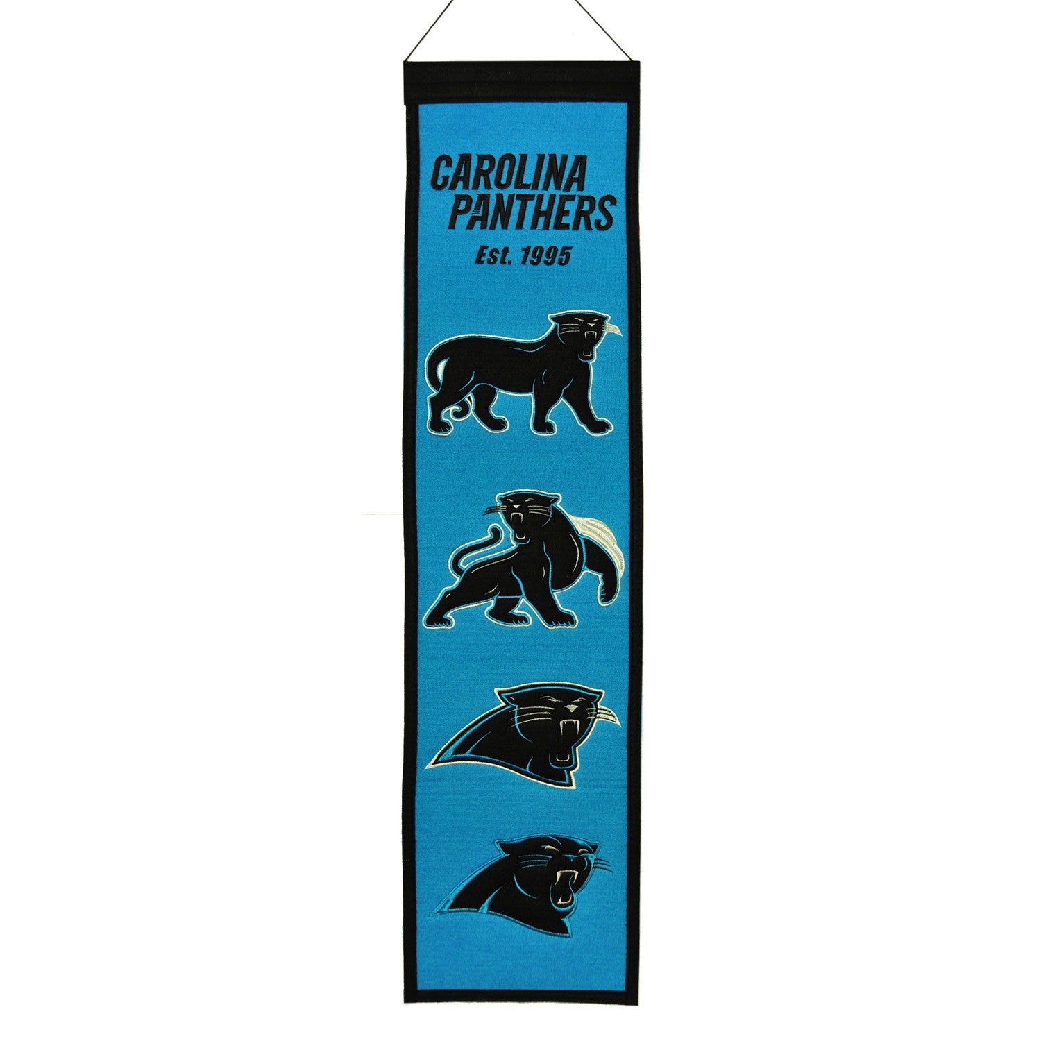 Carolina Panthers NFL Heritage Banner 1