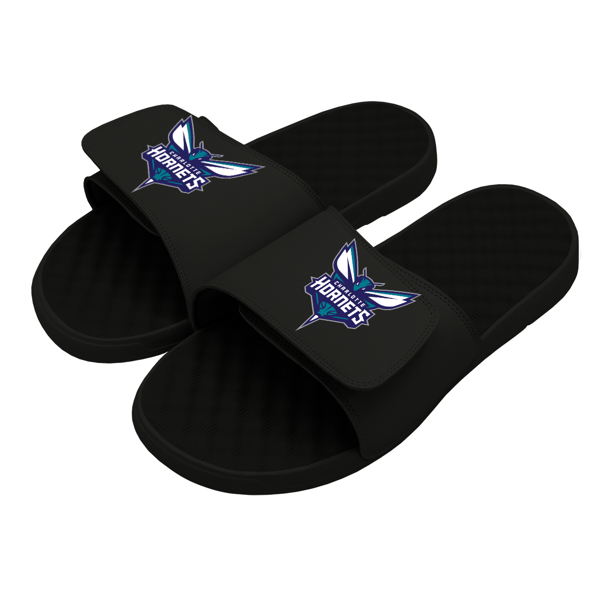 Charlotte Hornets Primary Slides 1