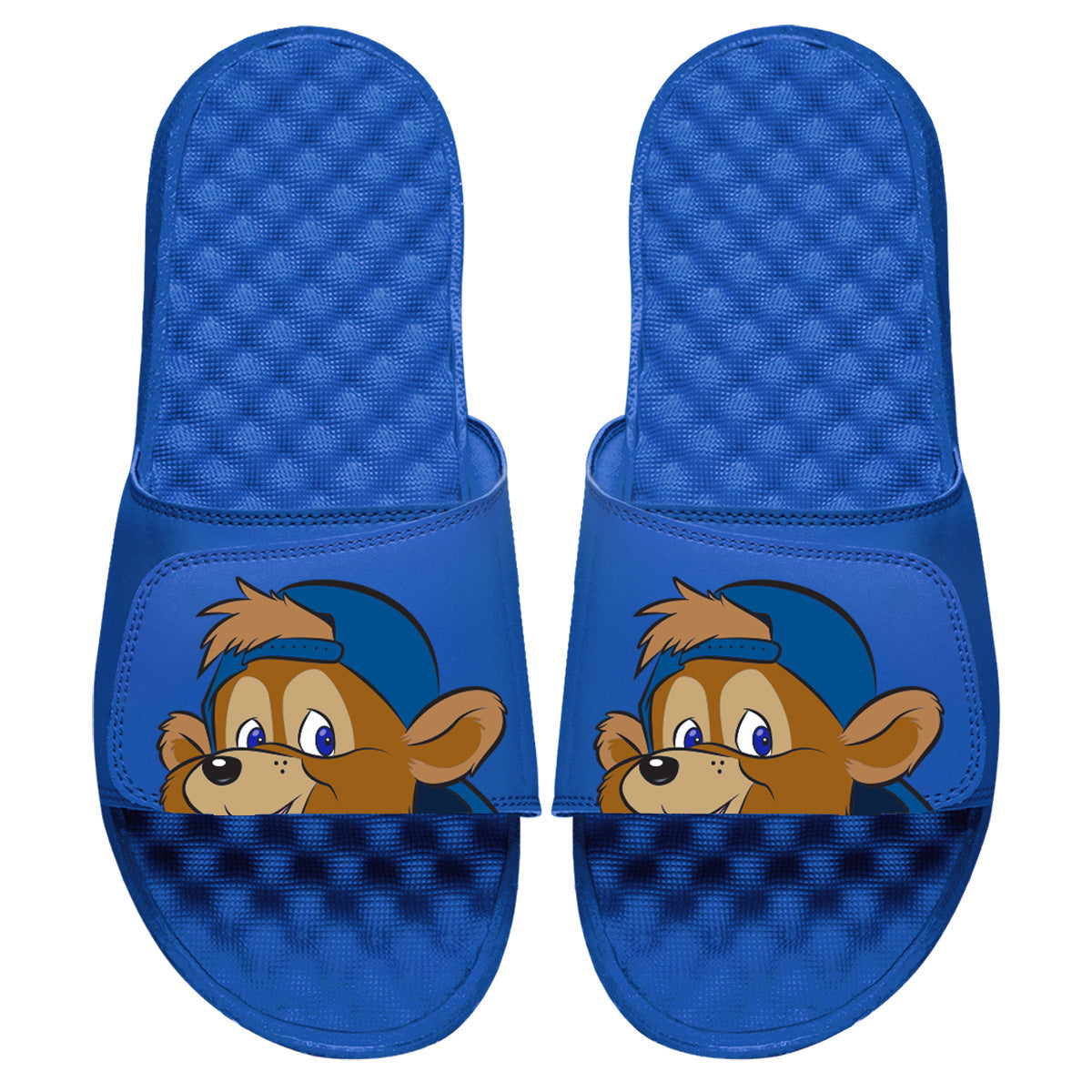 Chicago Cubs Mascot Slides 2