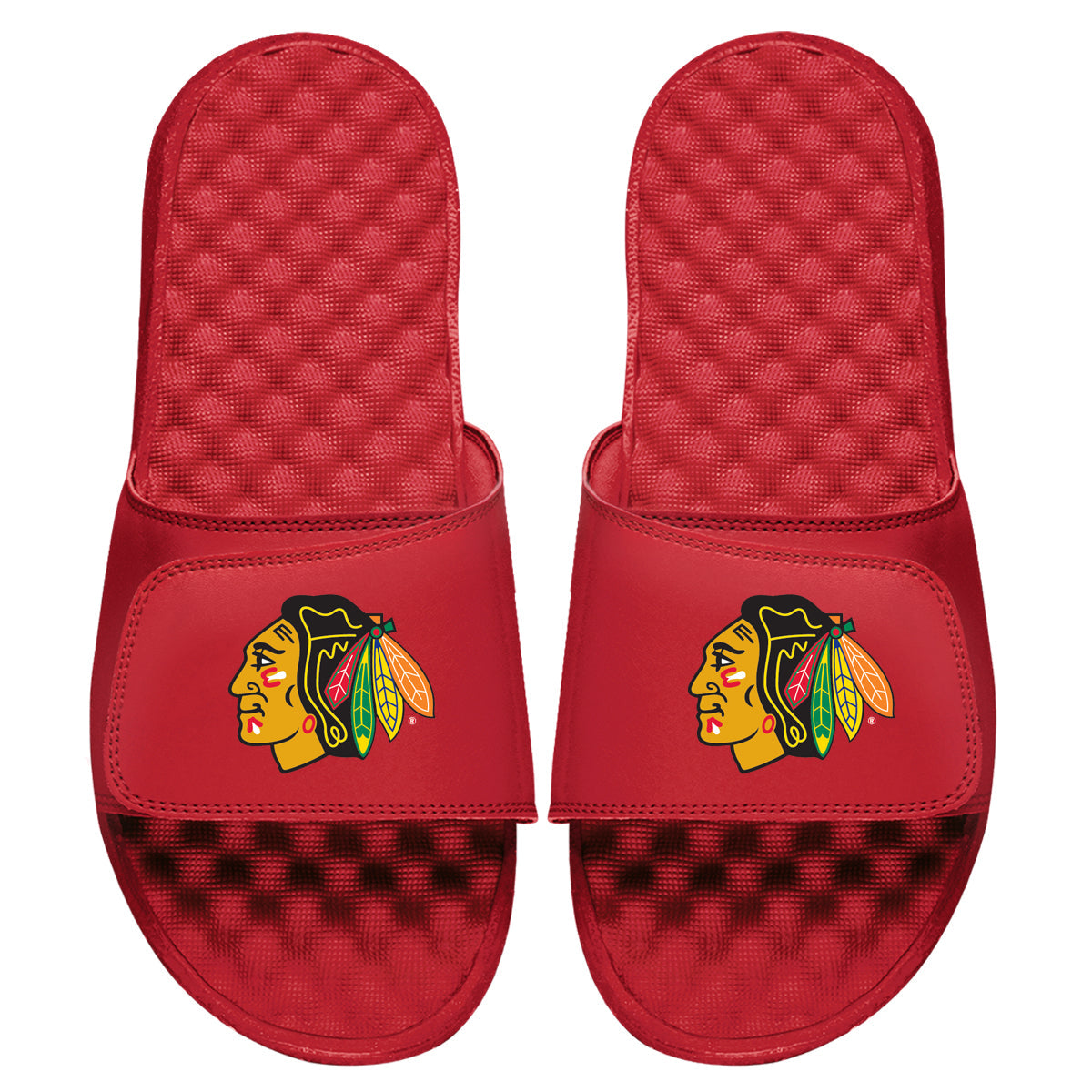 Chicago Blackhawks Primary Slides 3