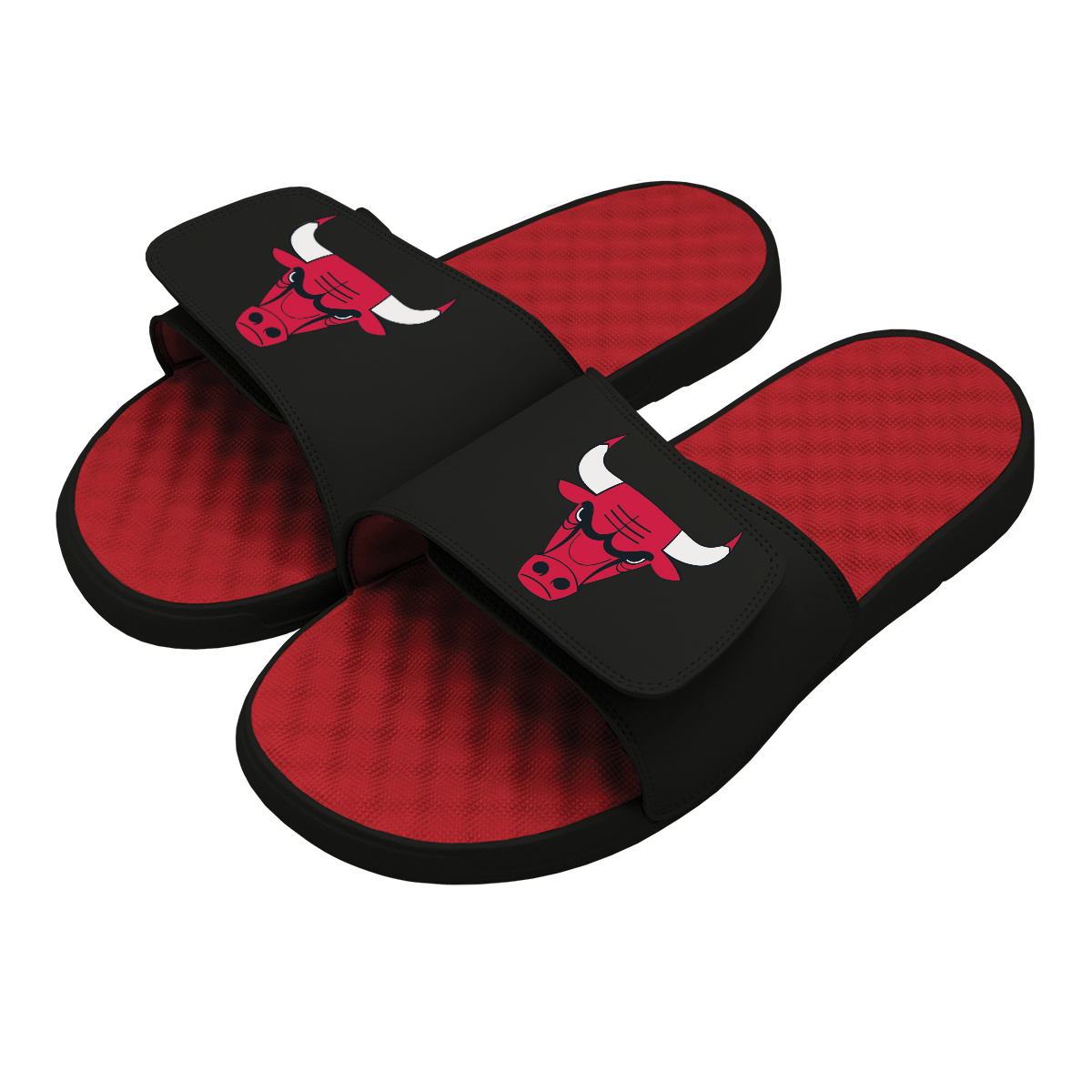 Chicago Bulls Primary Slides