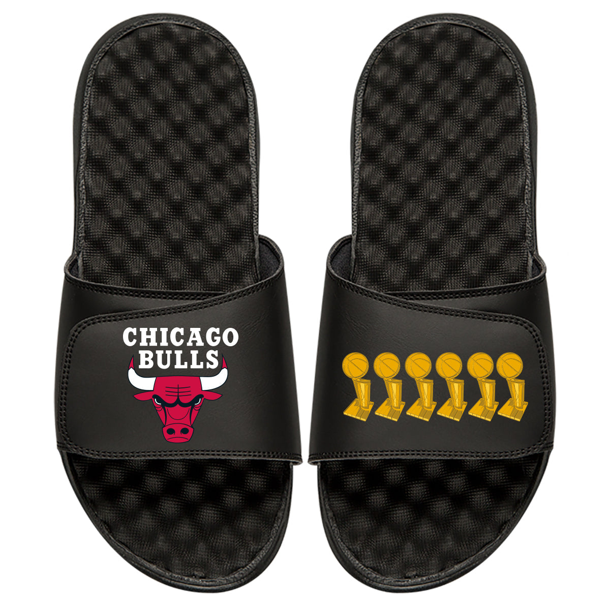 Chicago Bulls Trophies Slides 1