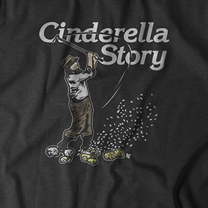 Cinderella Story 2