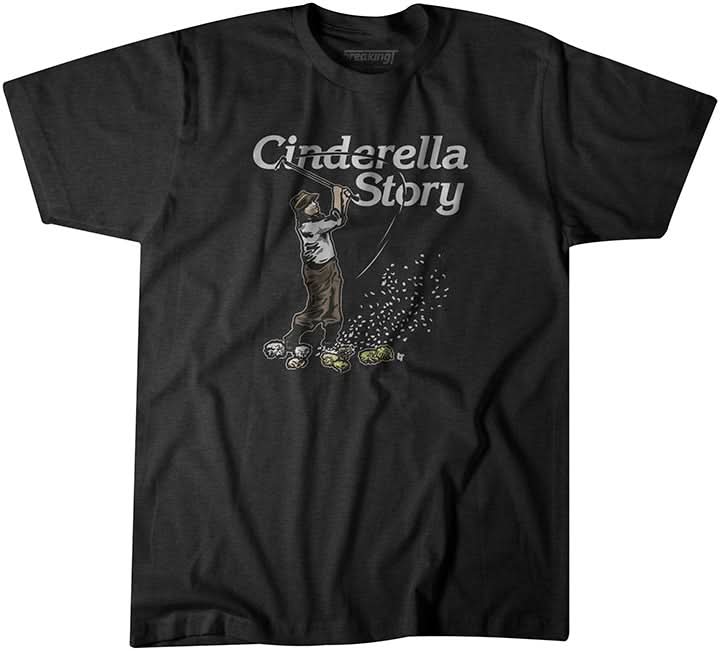 Cinderella Story 1