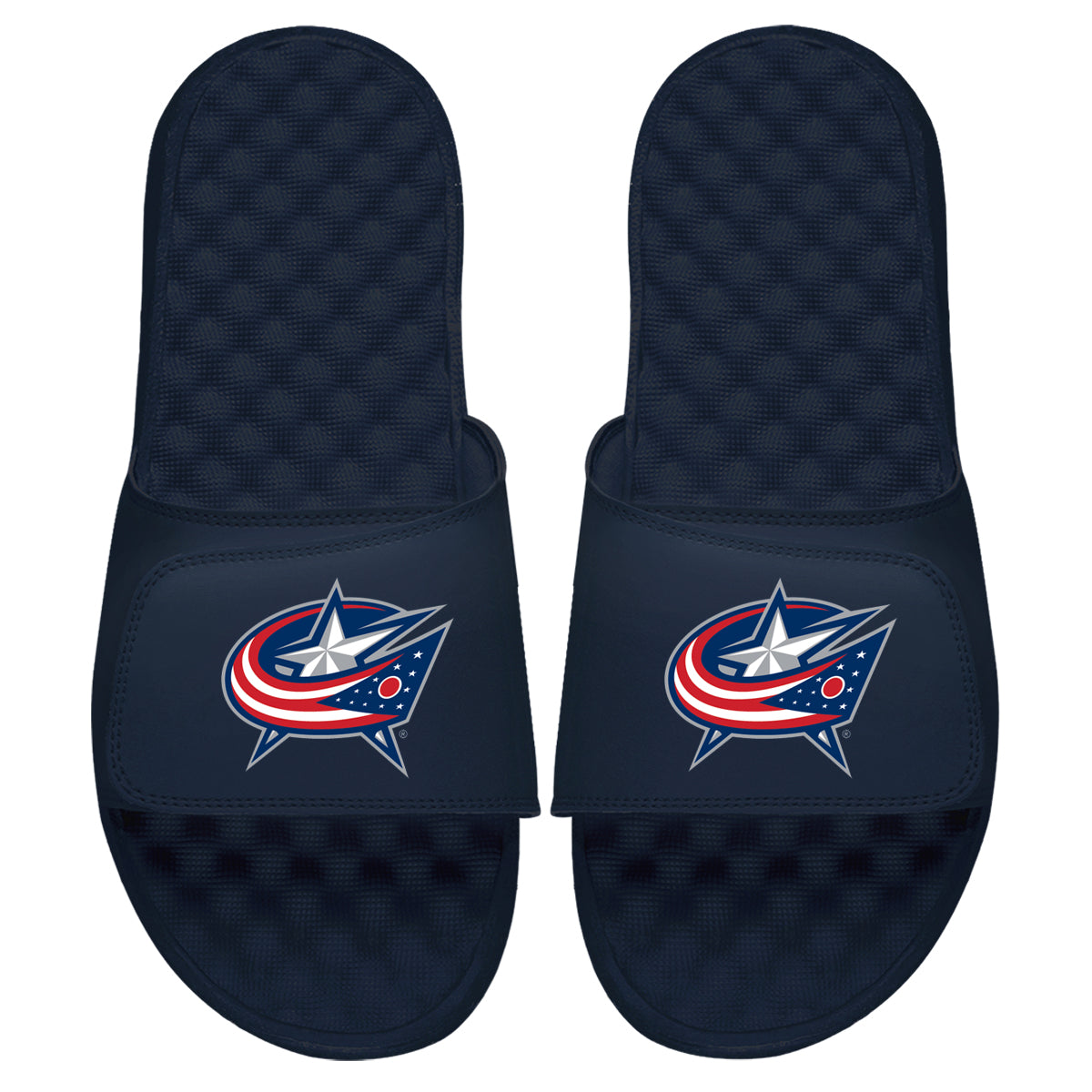 Columbus Blue Jackets Primary Slides 3