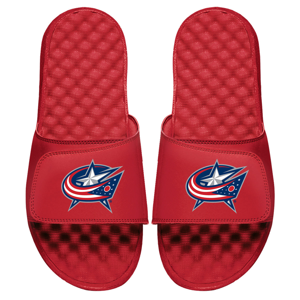 Columbus Blue Jackets Primary Slides 4