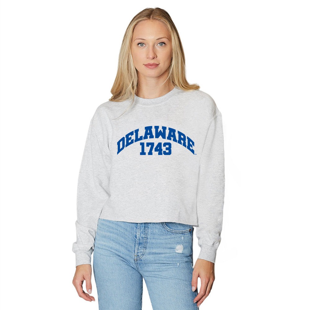 Delaware Established Crewneck | lojobands