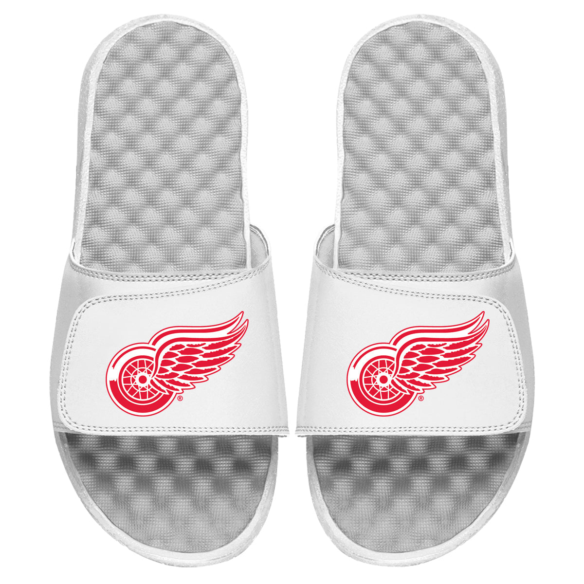 Detroit Red Wings Primary Slides 4