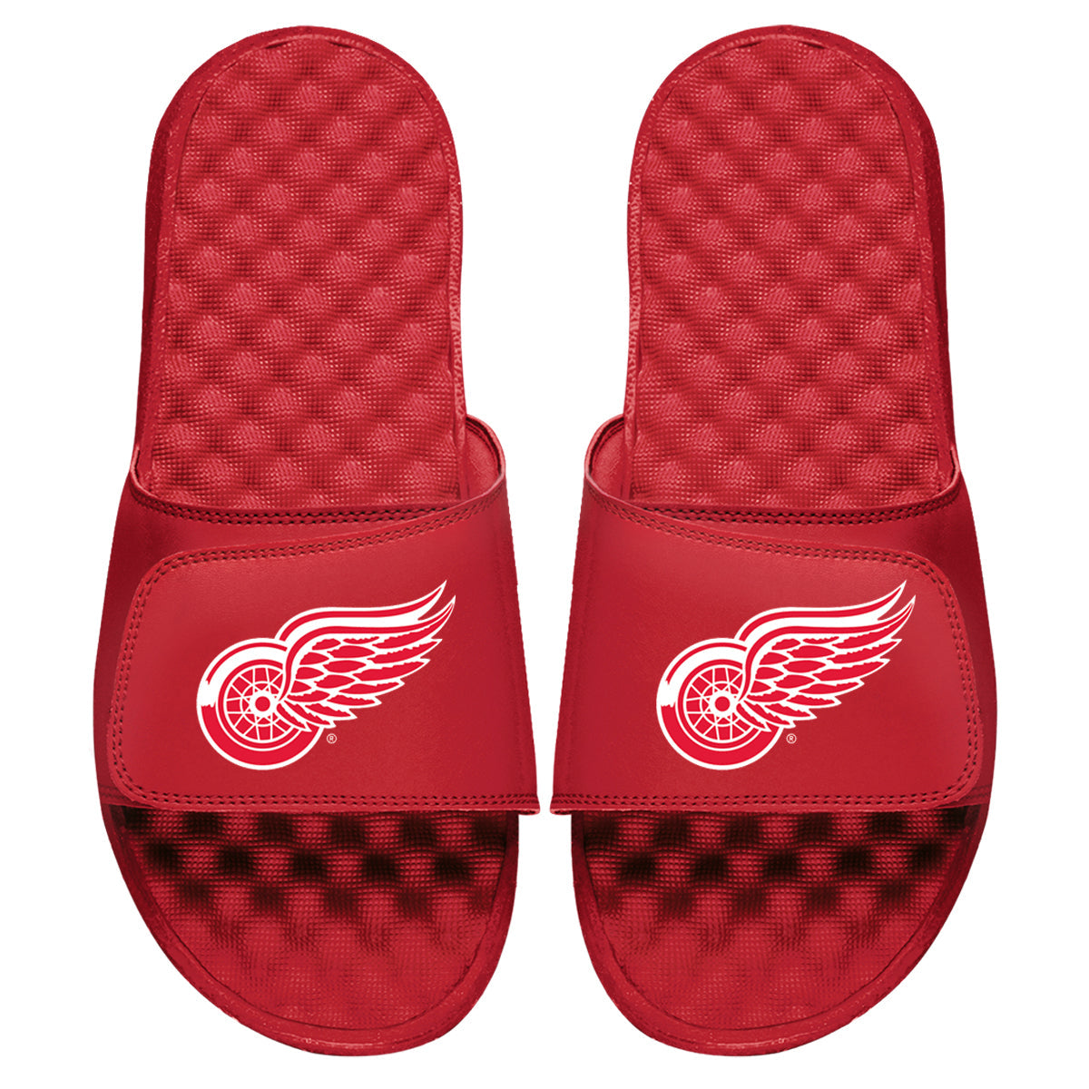 Detroit Red Wings Primary Slides 3
