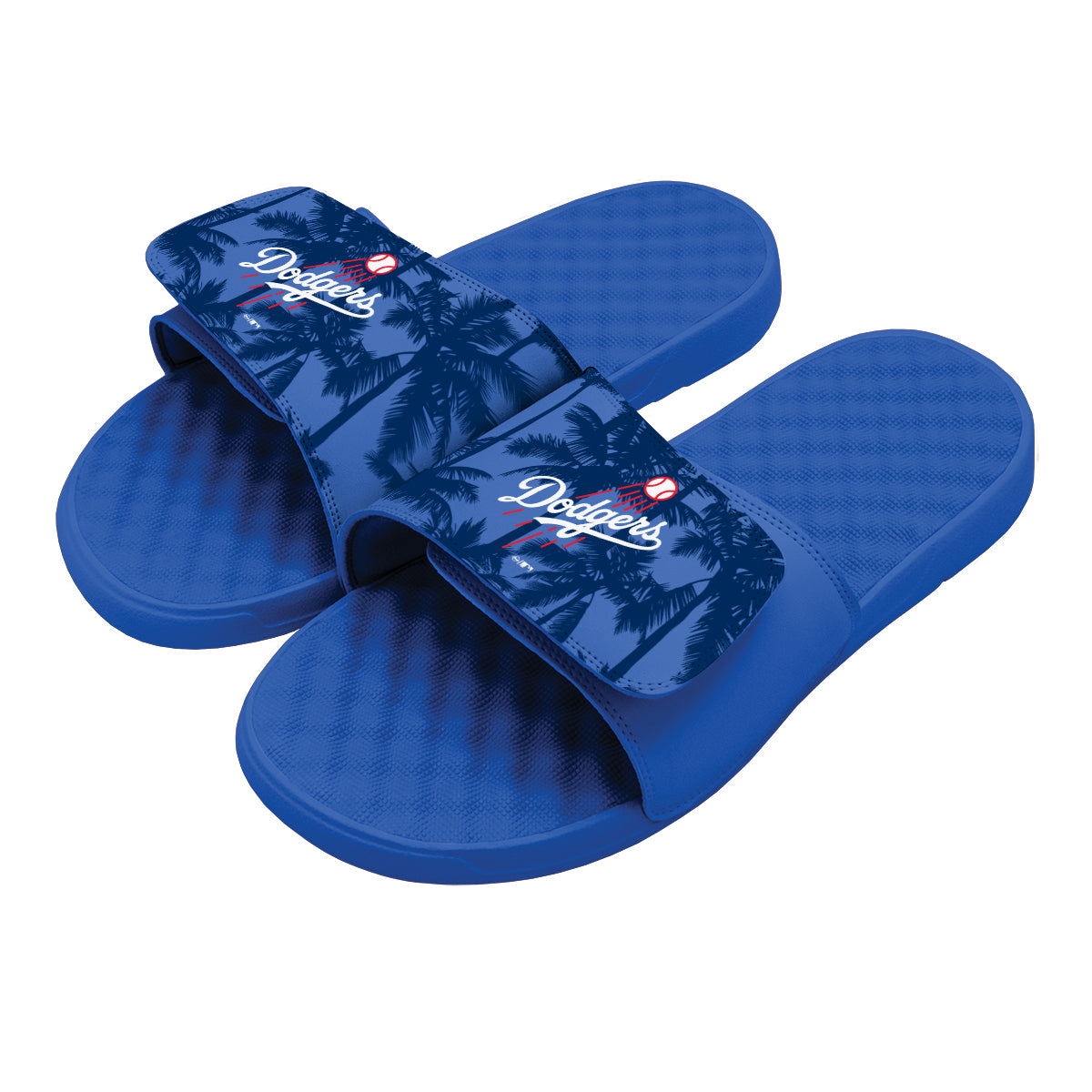 LA Dodgers Palm Tree Slides 1