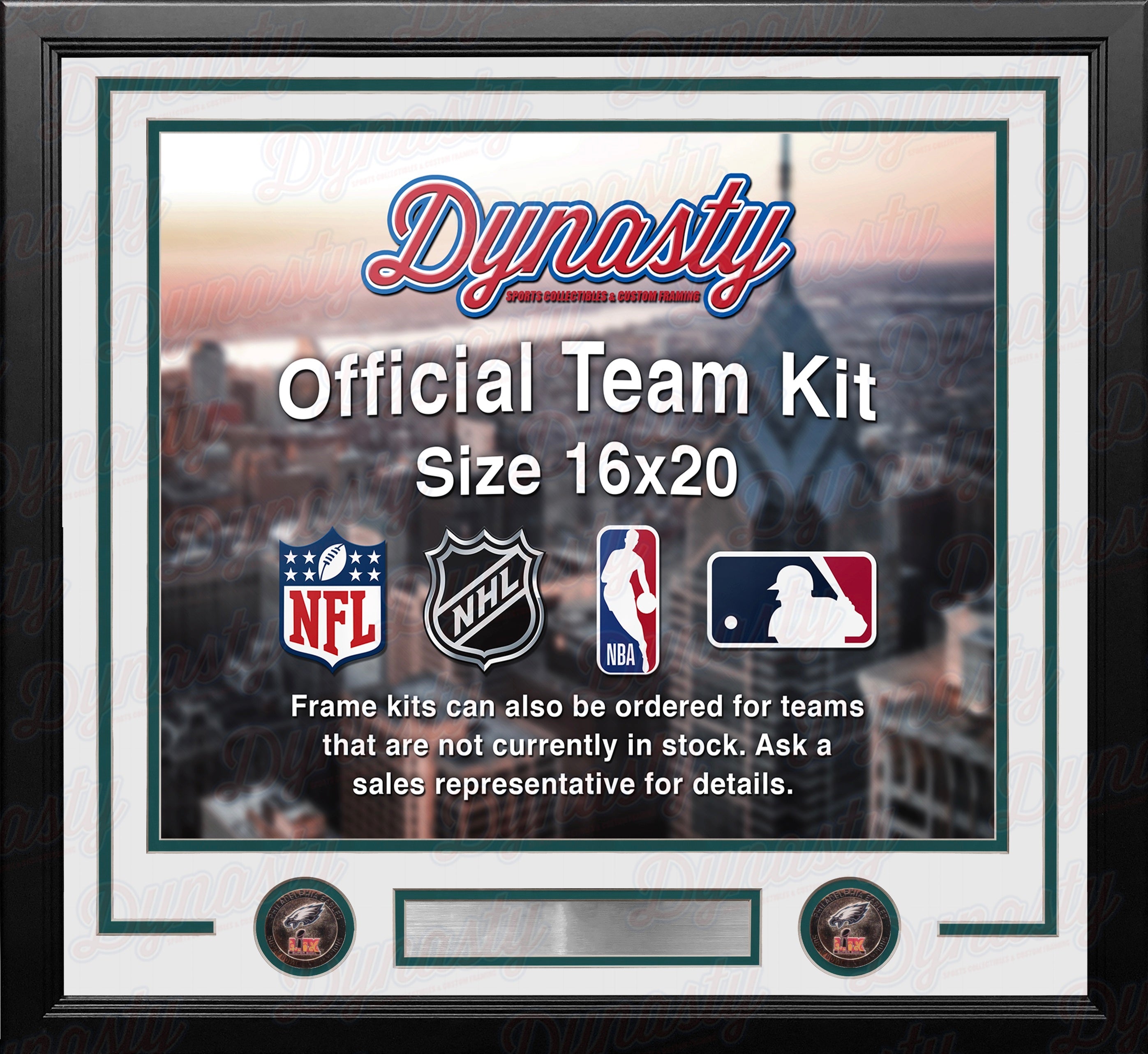 Philadelphia Eagles Super Bowl LIX Champions Custom NFL Football 16x20 Picture Frame Kit (3 Colors) 3