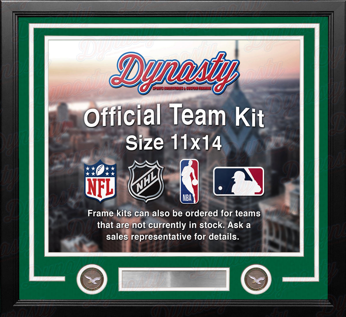 Philadelphia Eagles Throwback Custom NFL Football 11x14 Picture Frame Kit (Multiple Colors) 1