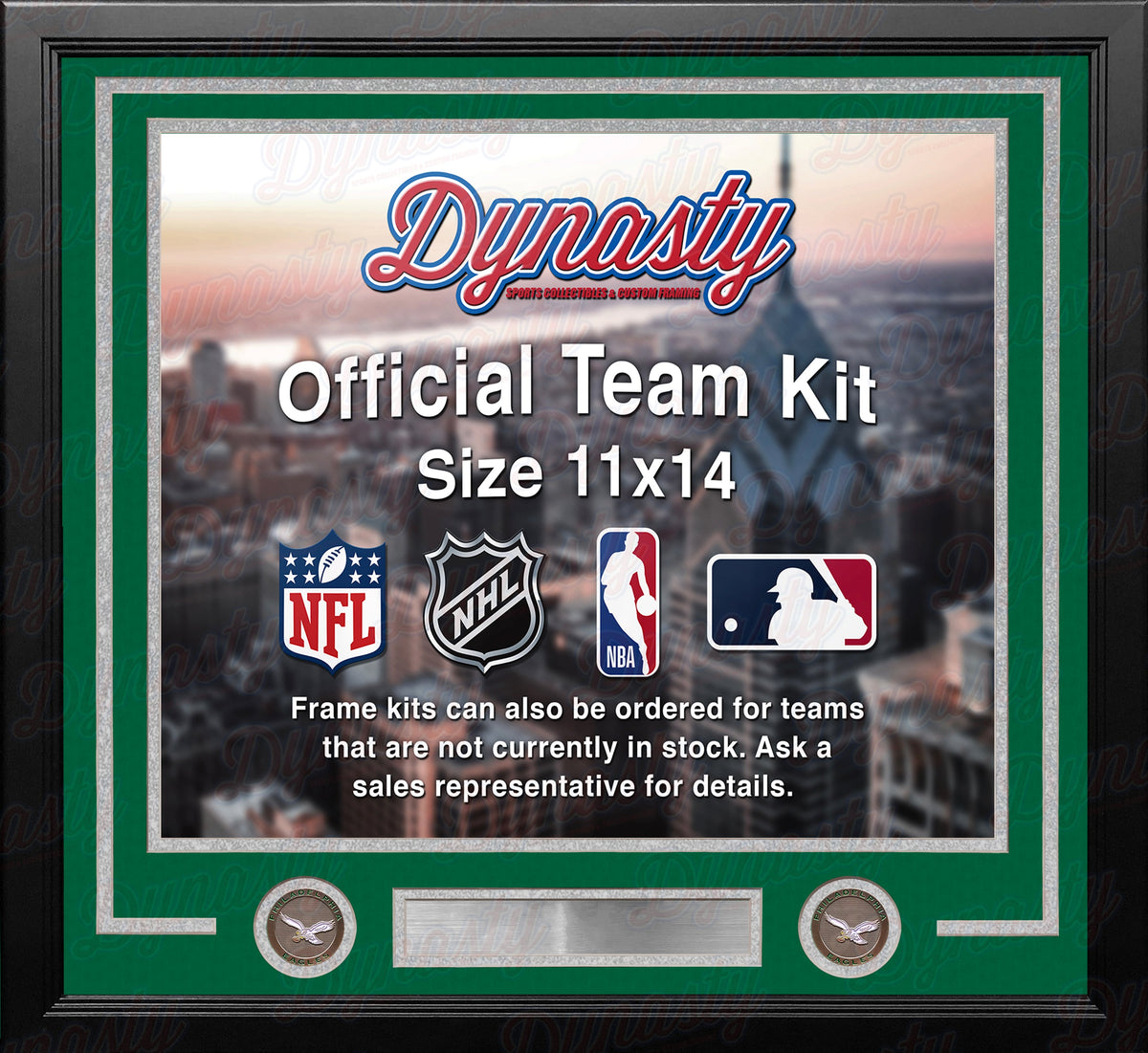 Philadelphia Eagles Throwback Custom NFL Football 11x14 Picture Frame Kit (Multiple Colors) 2