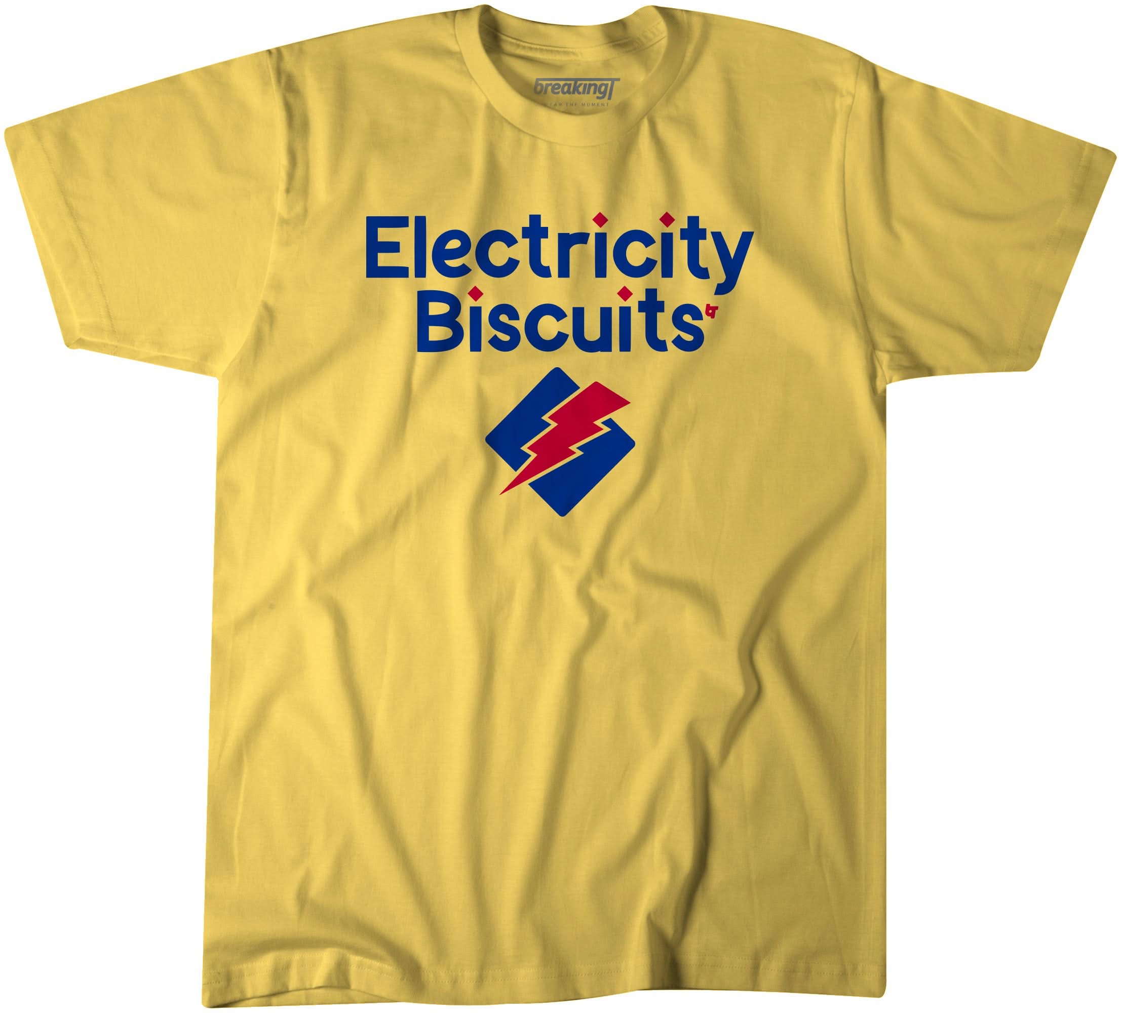 Electricity Biscuits 1