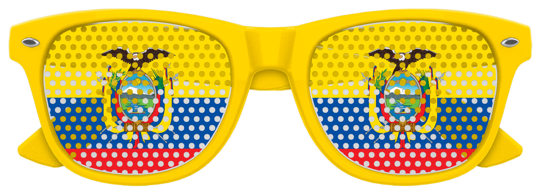 ECUADOR FLAG World Cup Party Sunglasses