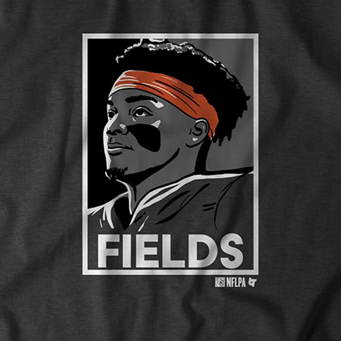 Fields 4
