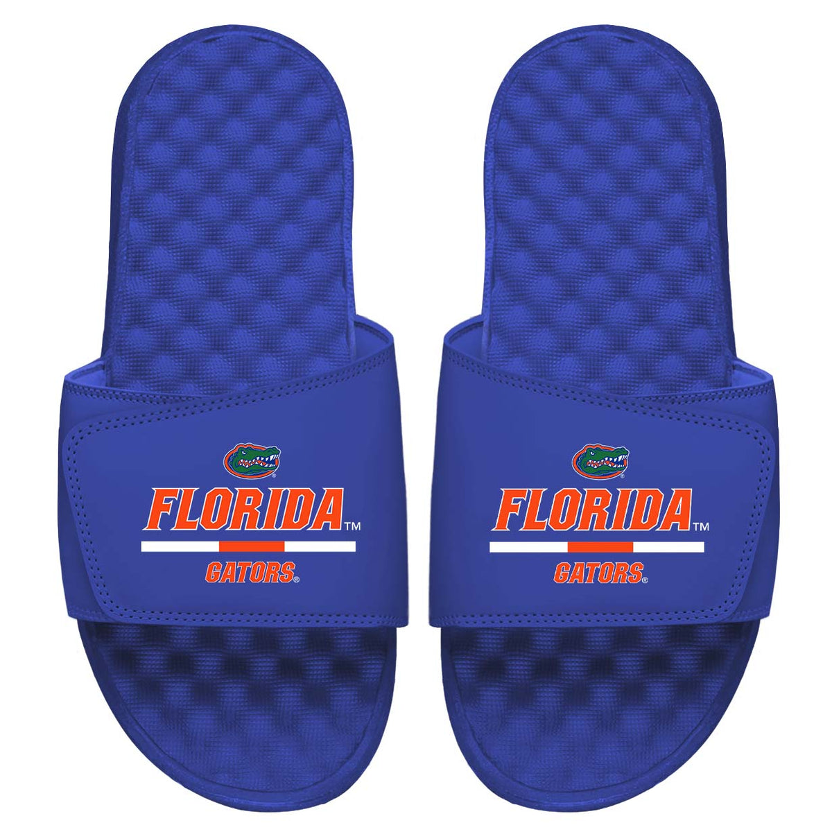 Florida Split Bar Slides 2