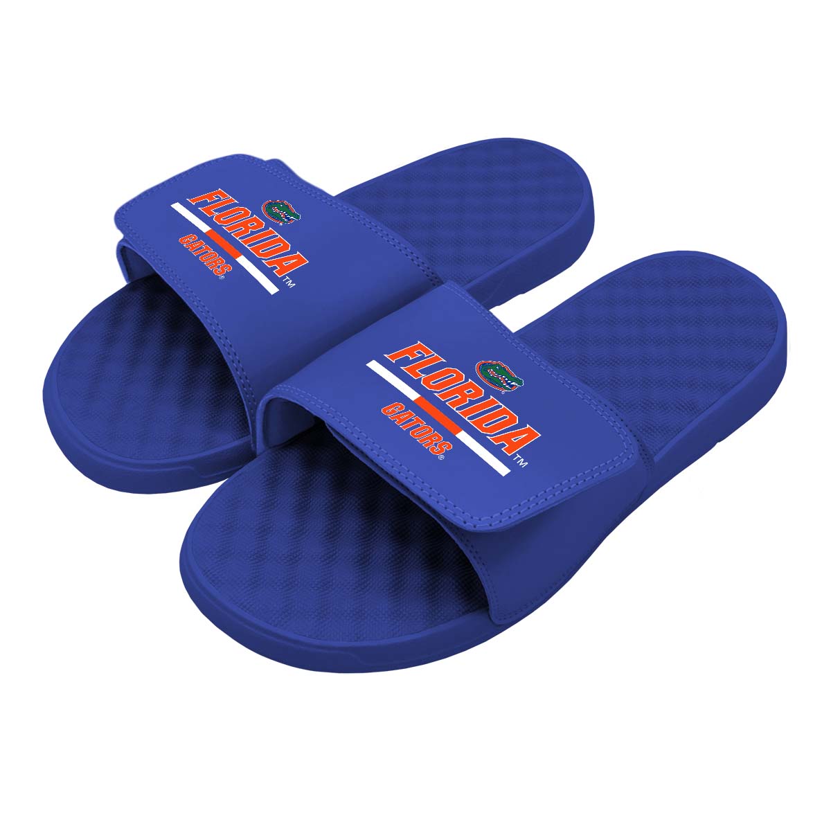 Florida Split Bar Slides 1