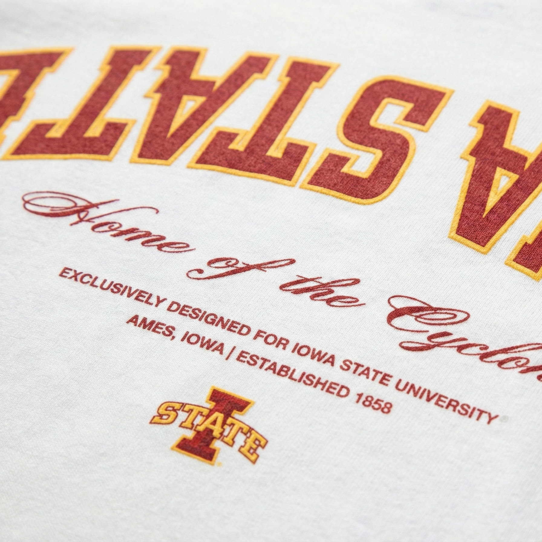 Iowa State Essentials Oversized Tee 4