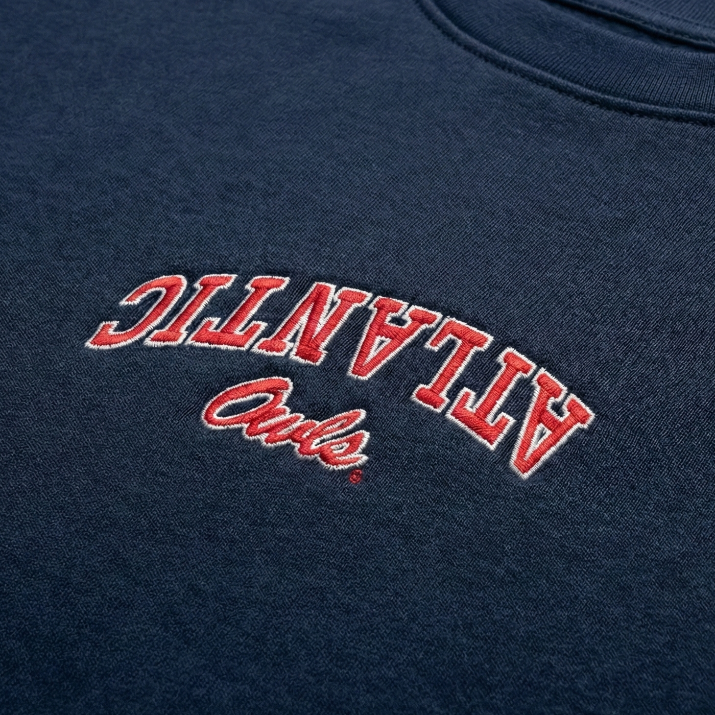 Florida Atlantic Embroidered Oversized Tee 3