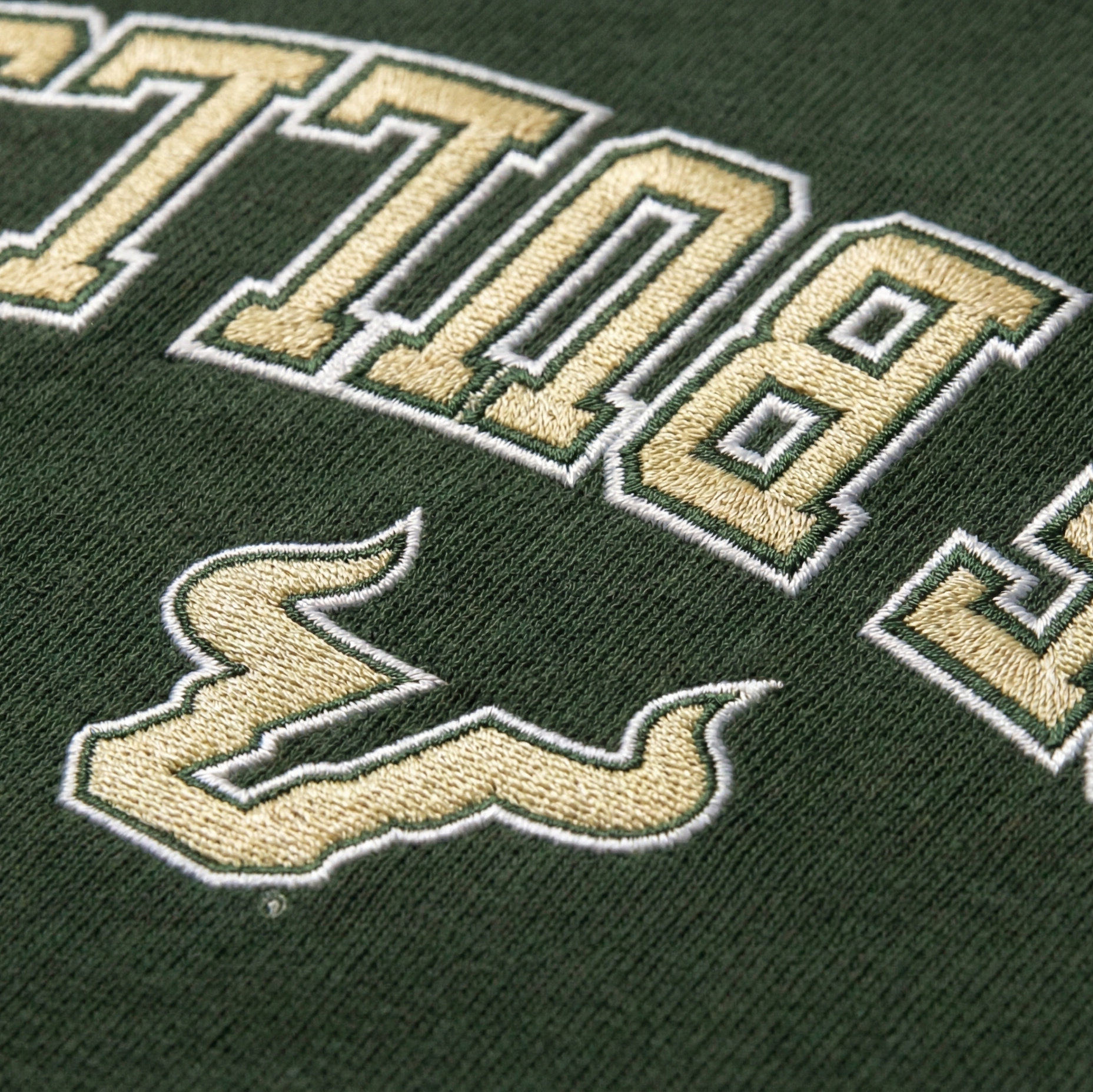 USF Bulls Embroidered Hoodie 3