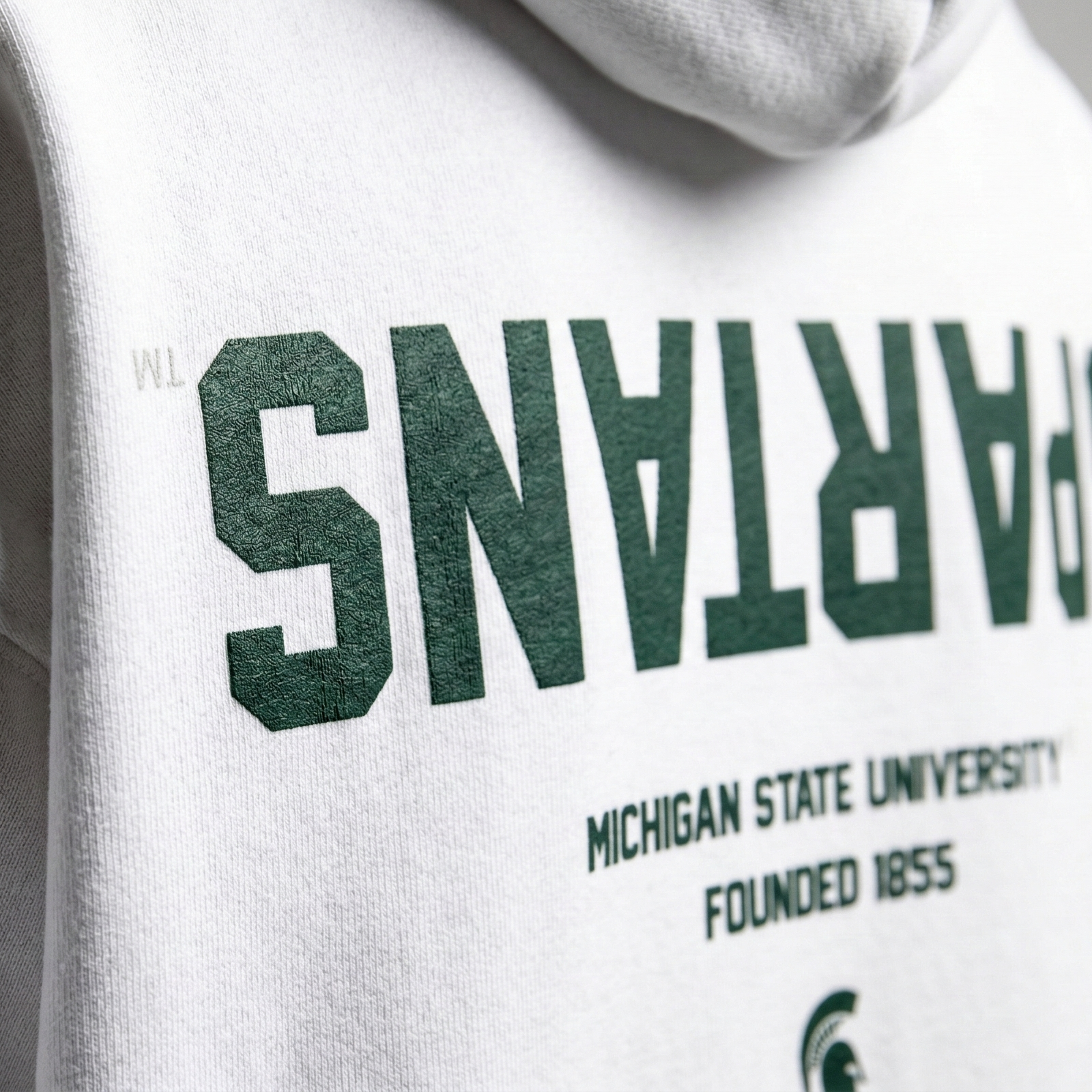 Michigan State Essentials Hoodie 4
