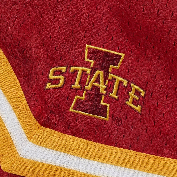 Iowa State Varsity Mesh Shorts 4