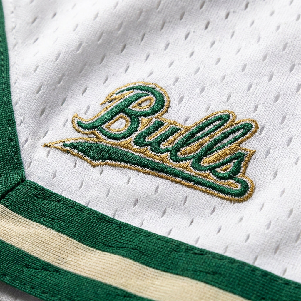 USF Varsity Mesh Shorts 4