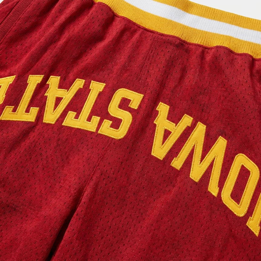 Iowa State Varsity Mesh Shorts 3