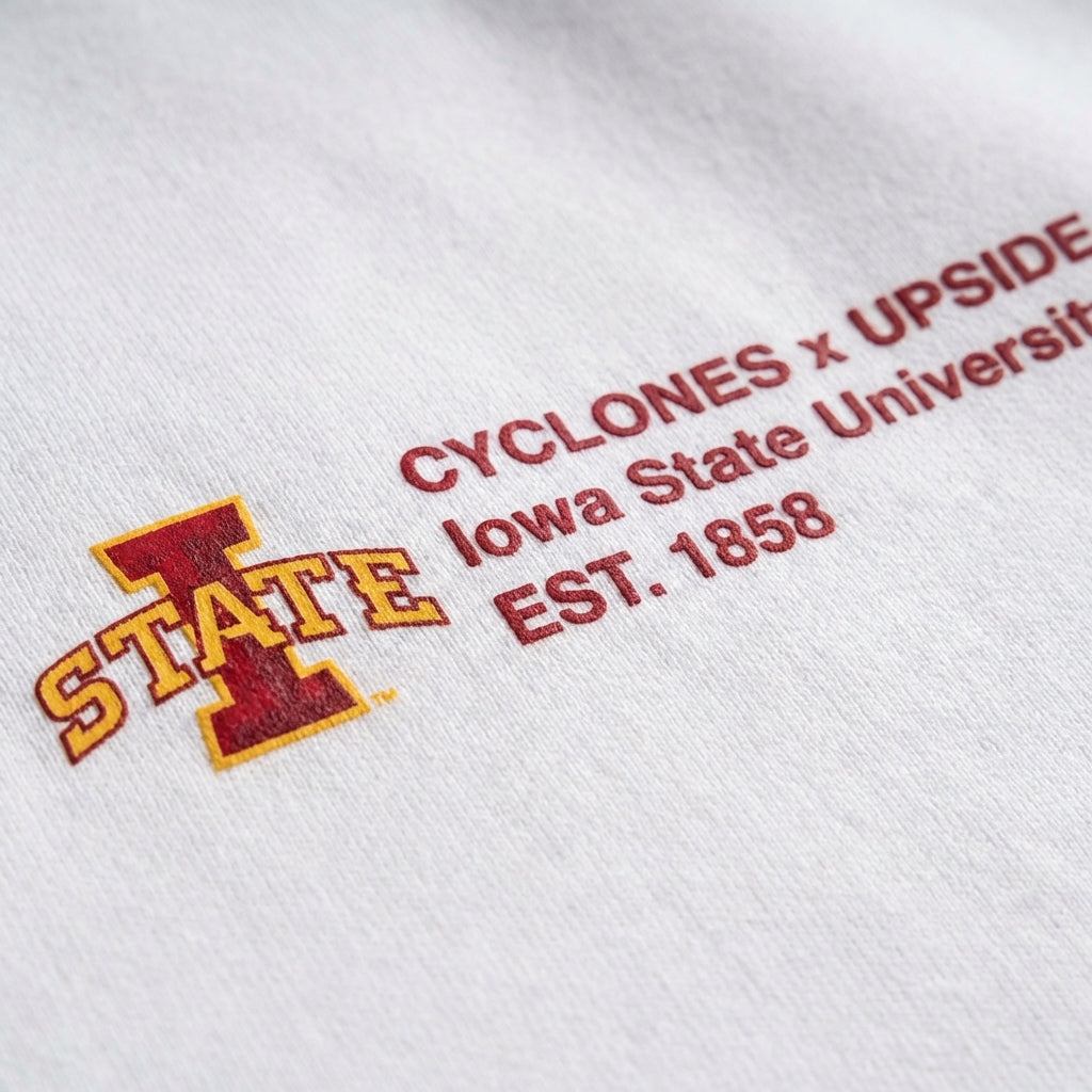 Iowa State Essentials Hoodie 4