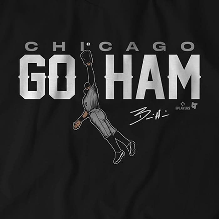 Go HAM 4
