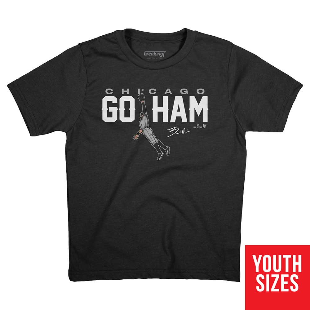 Go HAM 3