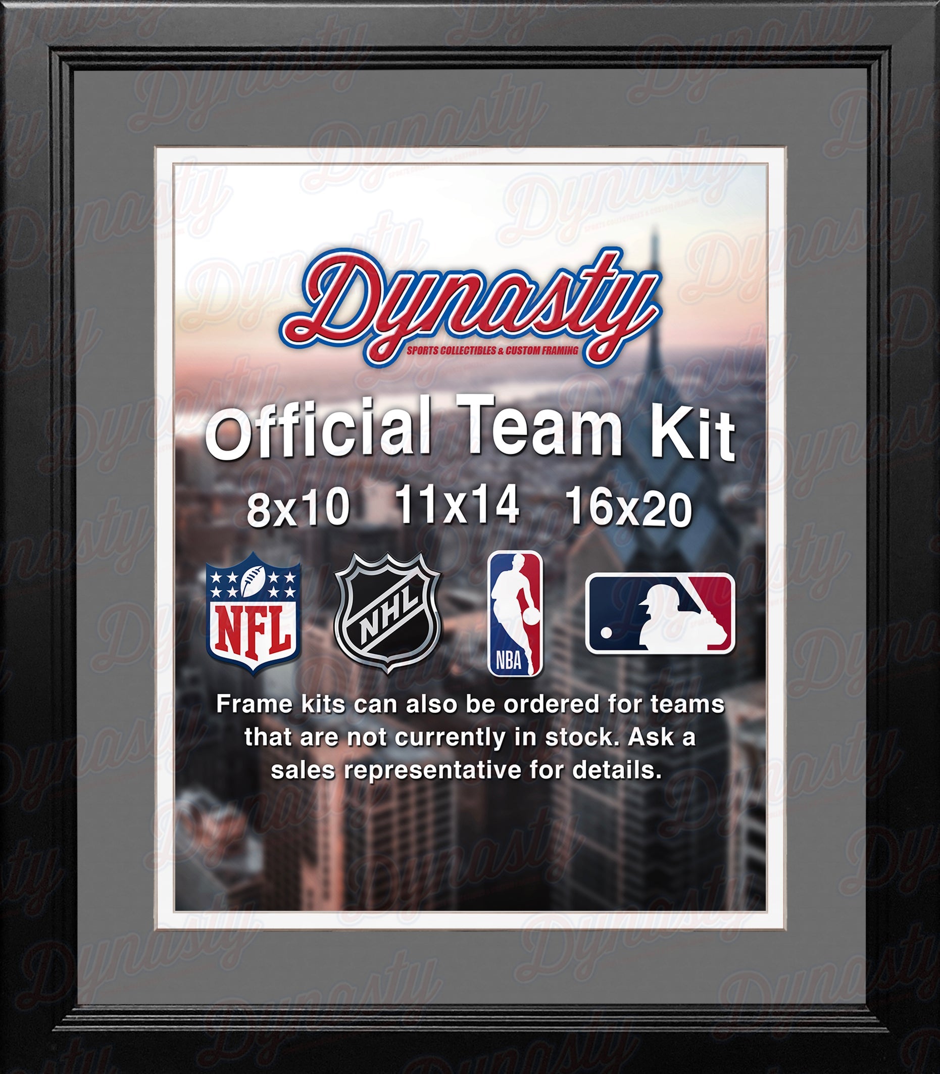 NBA Basketball Photo Picture Frame Kit - San Antonio Spurs (Gray Matting, White Trim) 2