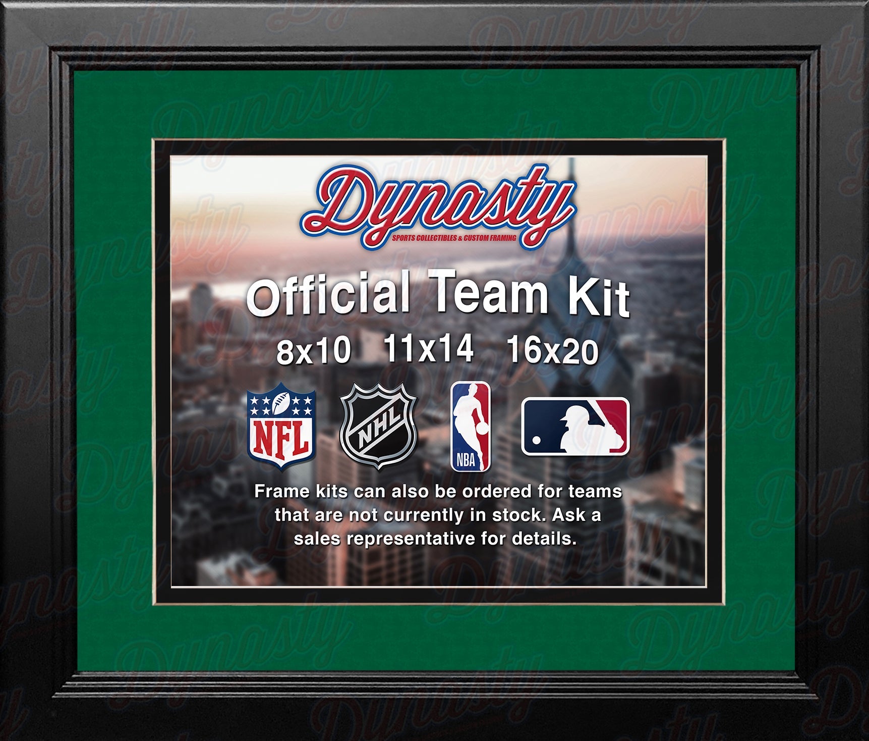 NHL Hockey Photo Picture Frame Kit - Dallas Stars (Green Matting, Black Trim)
