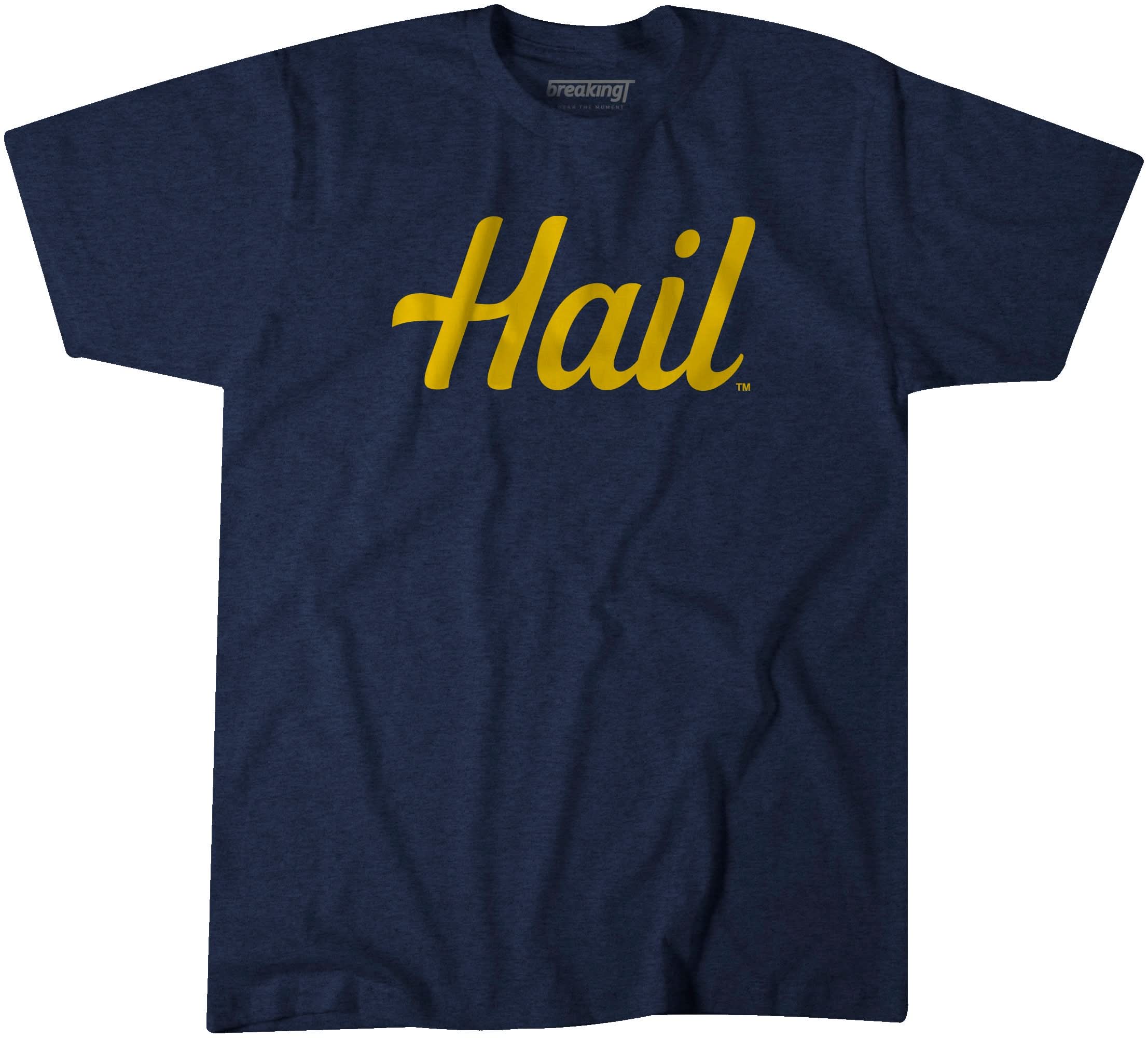 Michigan: Hail 2