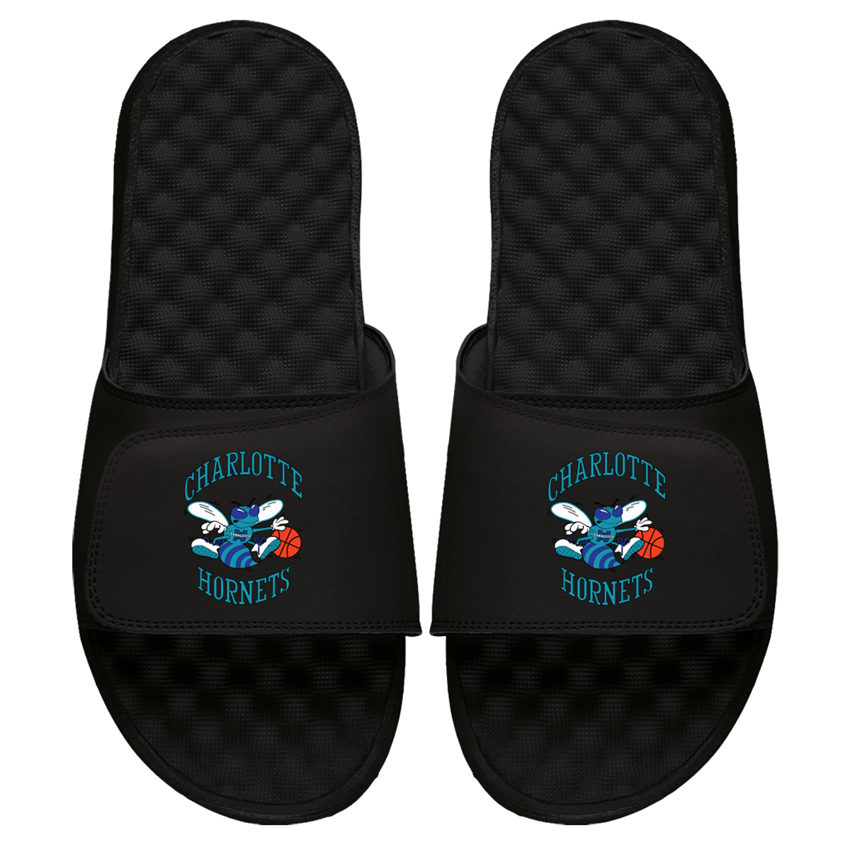 Charlotte Hornets HWC Primary Slides 1