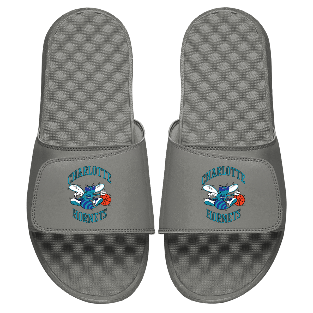 Charlotte Hornets HWC Primary Slides 2
