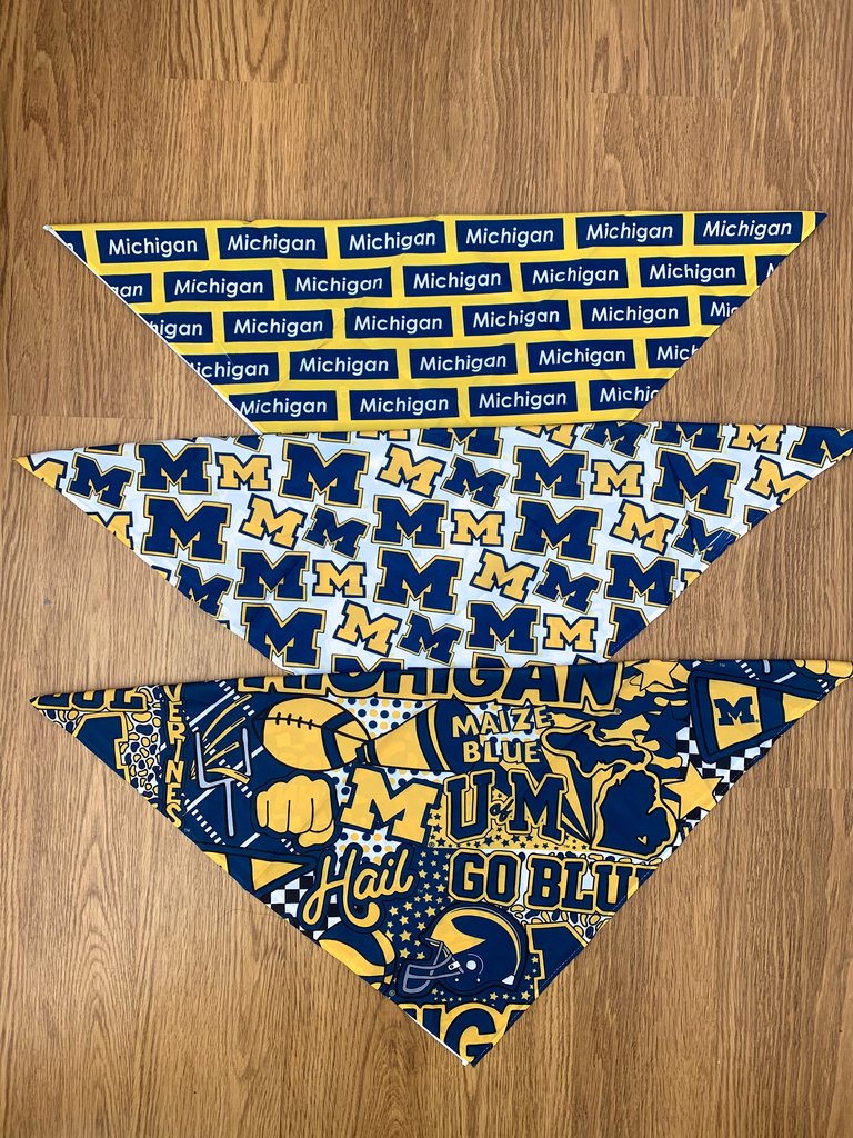 University of Michigan Pattern Bandana Top | lojobands 4