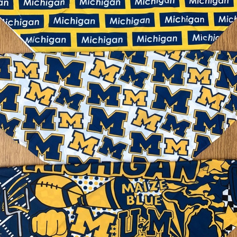 University of Michigan Pattern Bandana Top | lojobands