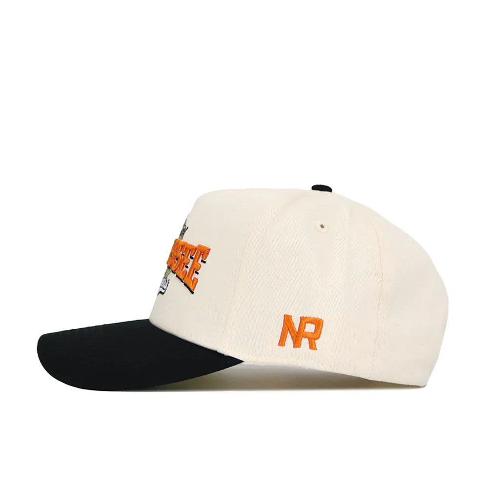 No Rivals Tennessee Volunteers - Vintage Natural Ballpark Hat 2