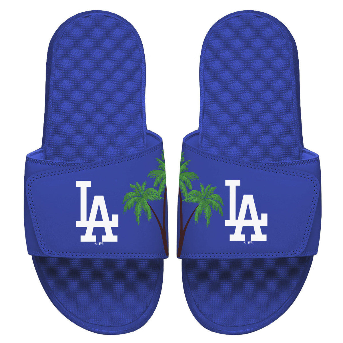 LA Dodgers Palm Tree Patch Slides 1