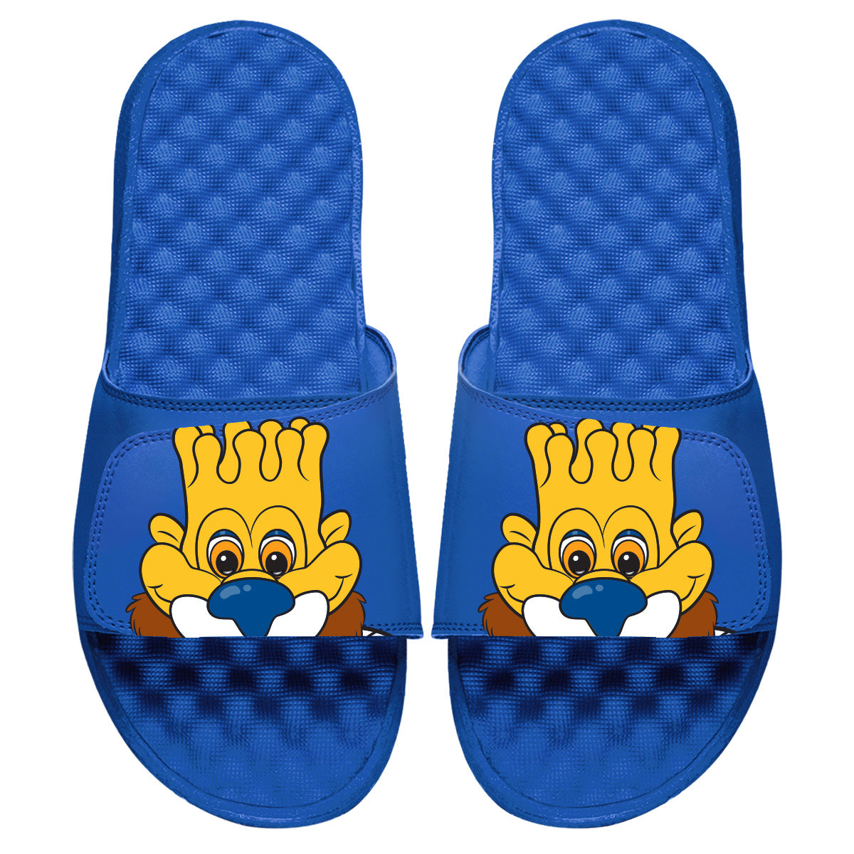 Kansas City Royals Mascot Slides 2