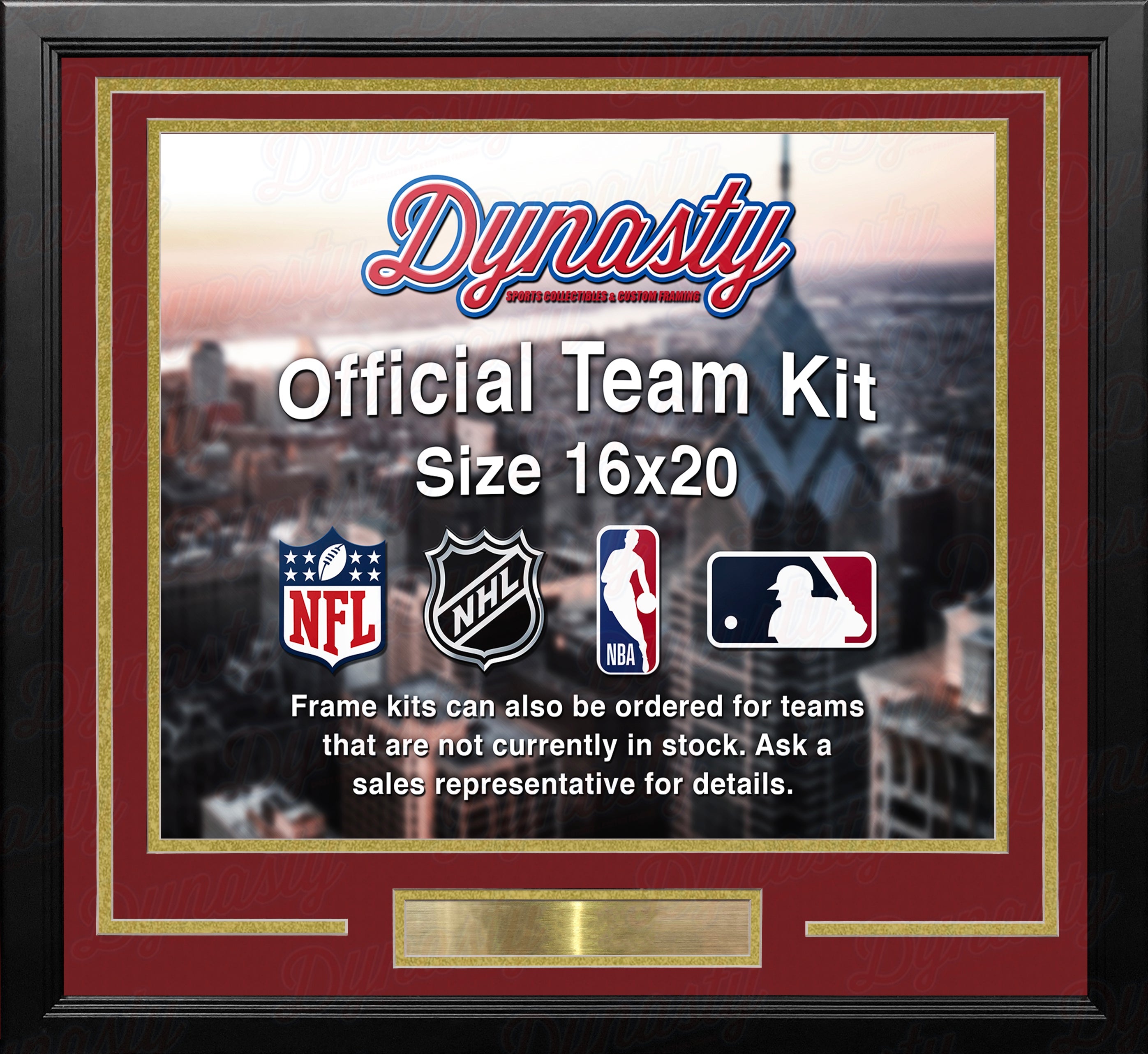 Vegas Golden Knights Custom NHL Hockey 16x20 Picture Frame Kit (Multiple Colors)