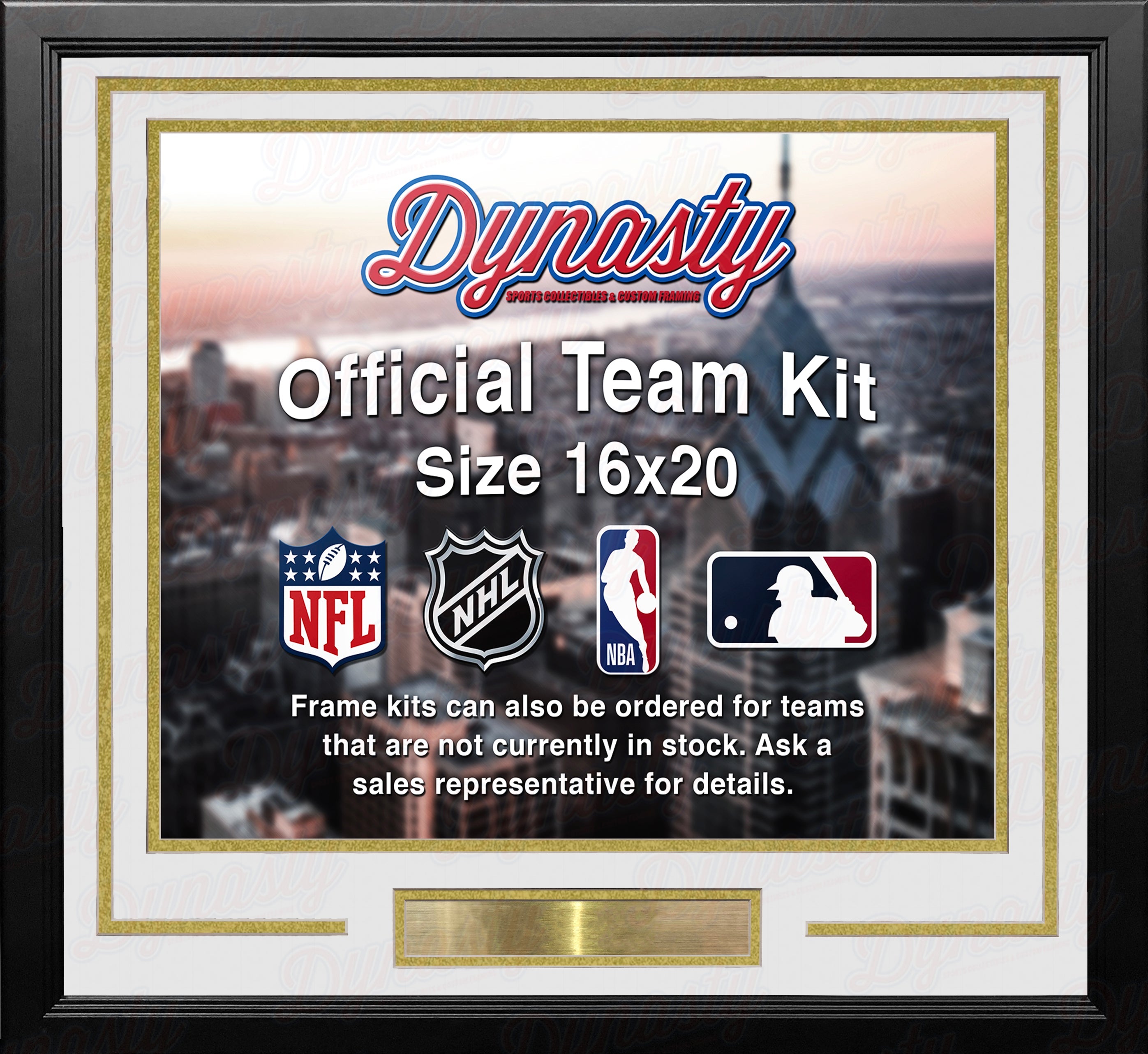 Vegas Golden Knights Custom NHL Hockey 16x20 Picture Frame Kit (Multiple Colors) 3