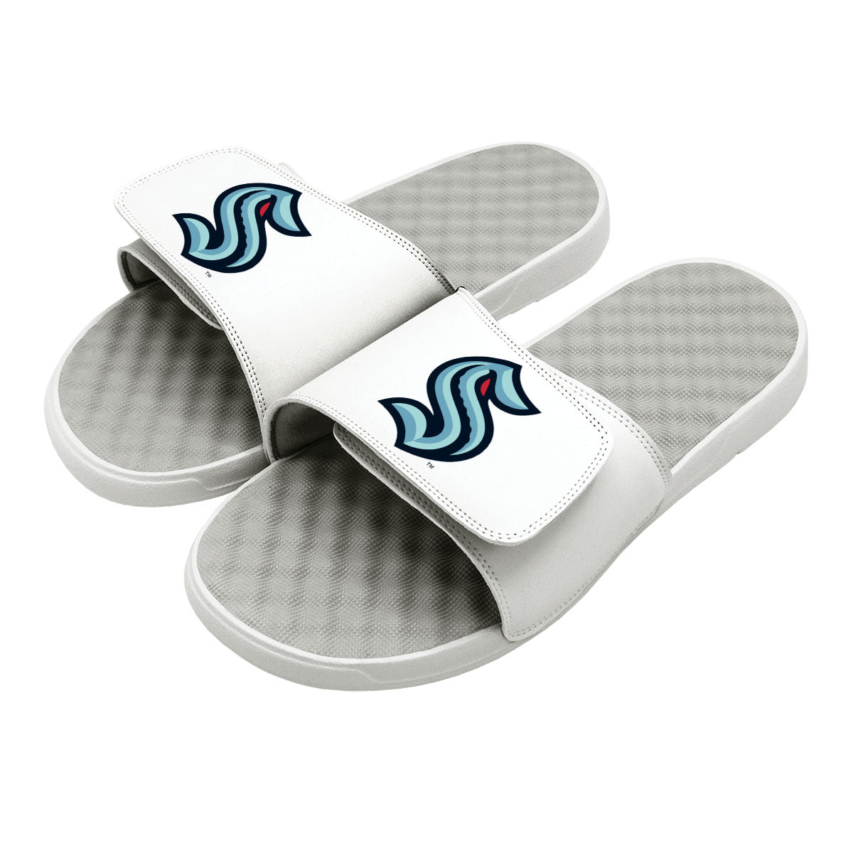 Kraken Primary Logo Slides 2